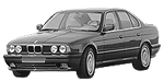 BMW E34 B15D3 Fault Code